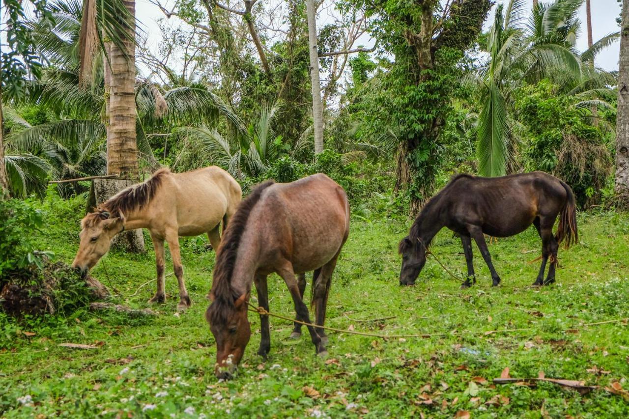 Recidencia Del Hamor Sorsogon Exterior photo